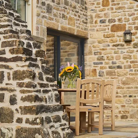 Tatil Evi The Reading